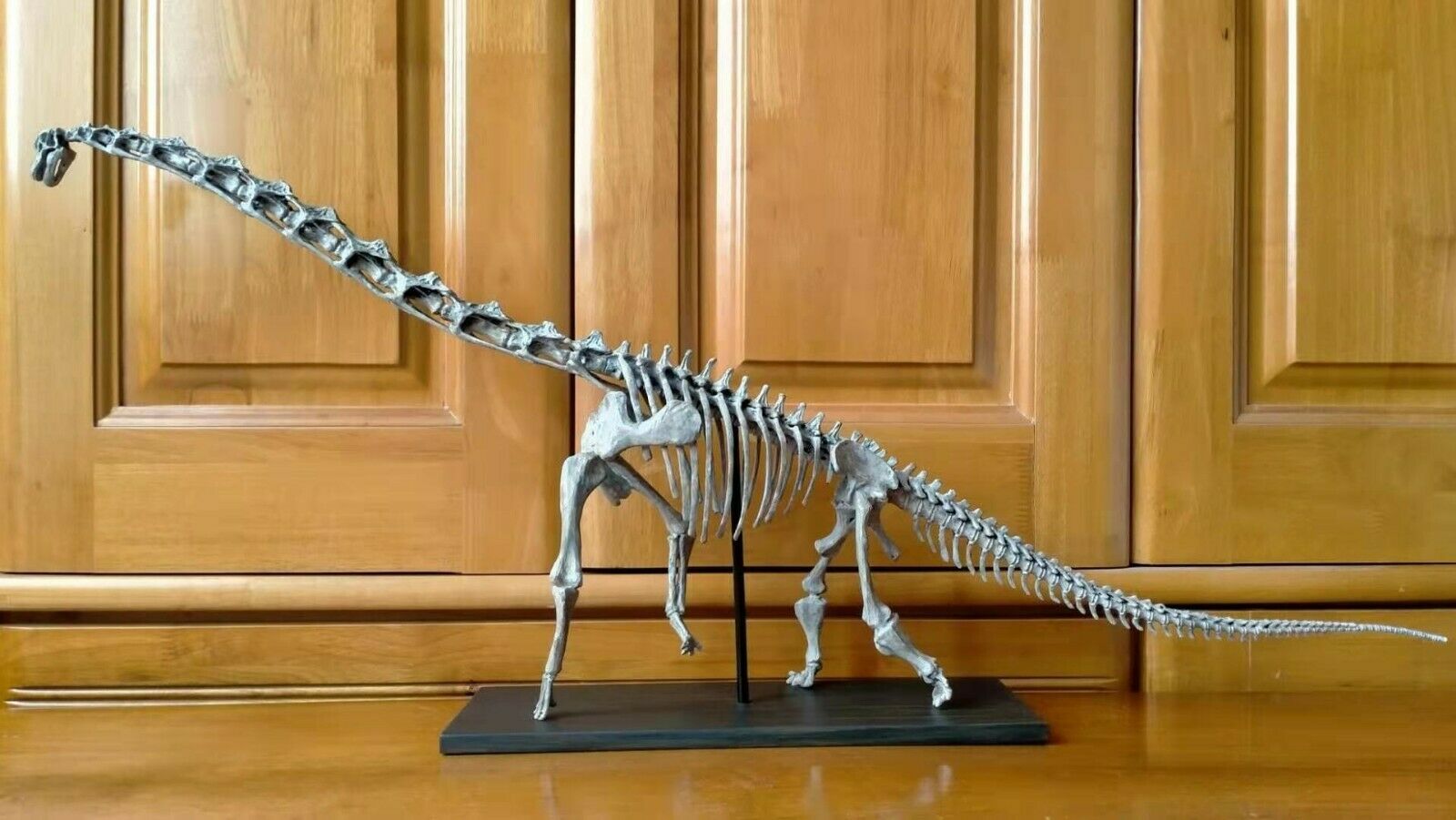 81 Cm，dinosaur Model / Brachiosaurus Skeleton Model  Wl-2101