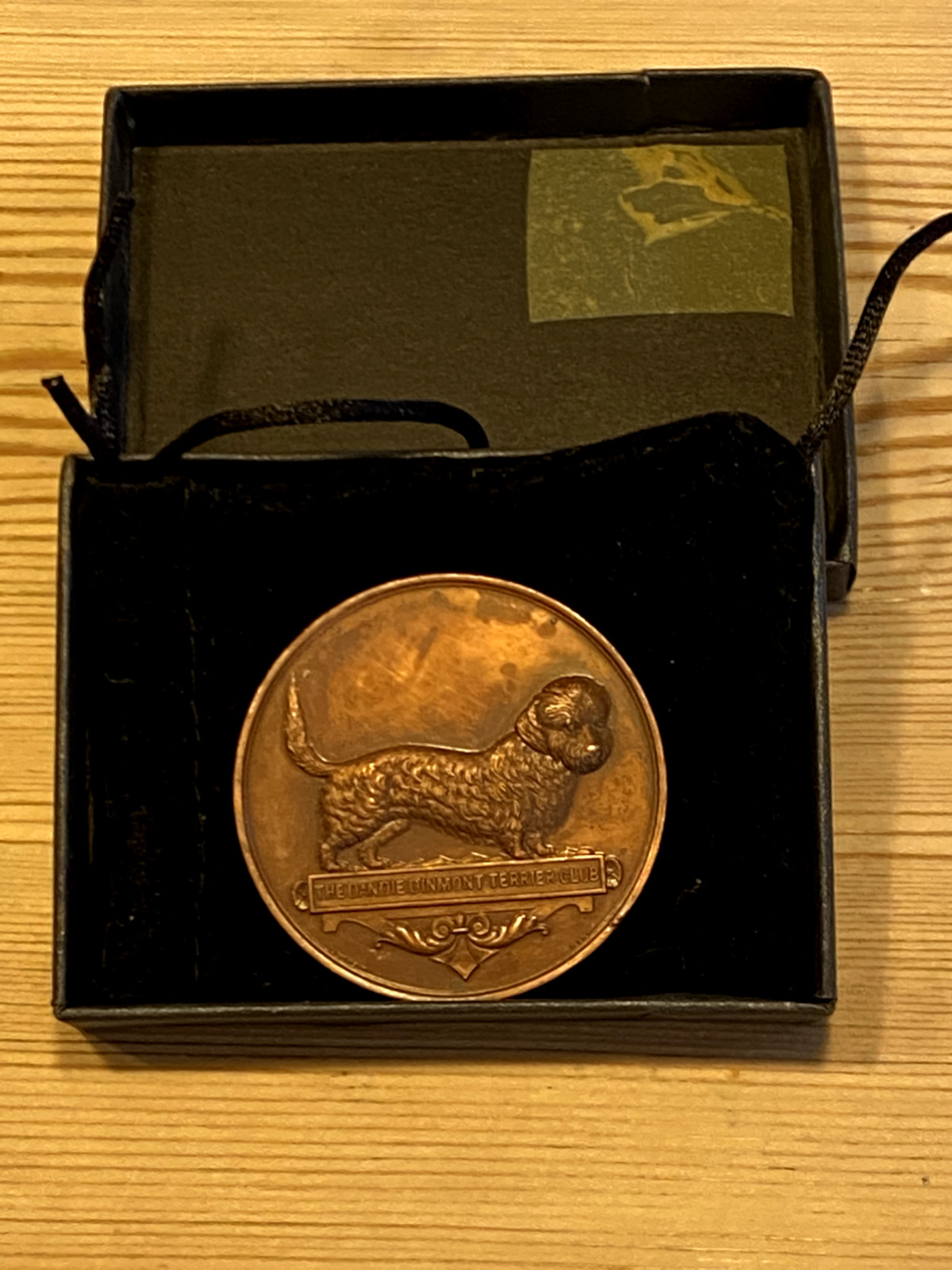 Rare Antique Large Bronze Dandie Dinmont Terrier Dog Medal 1911 Edinburgh Show