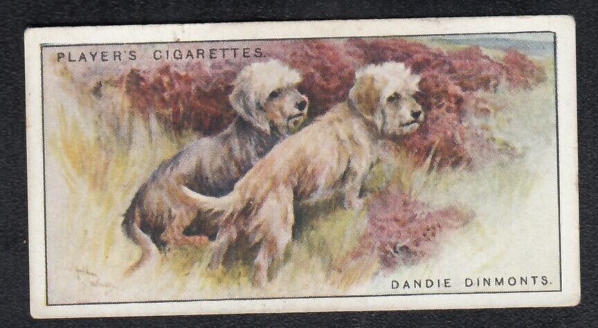 Dandie Dinmonts Vintage 1925 Dog Painting Card